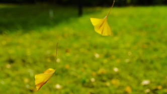 创业板企业高管梁峰因突发疾病逝世，终年50岁