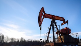 张庆生代表：建议加强对油气矿业权竞买人资质审查，促进资源高效转化