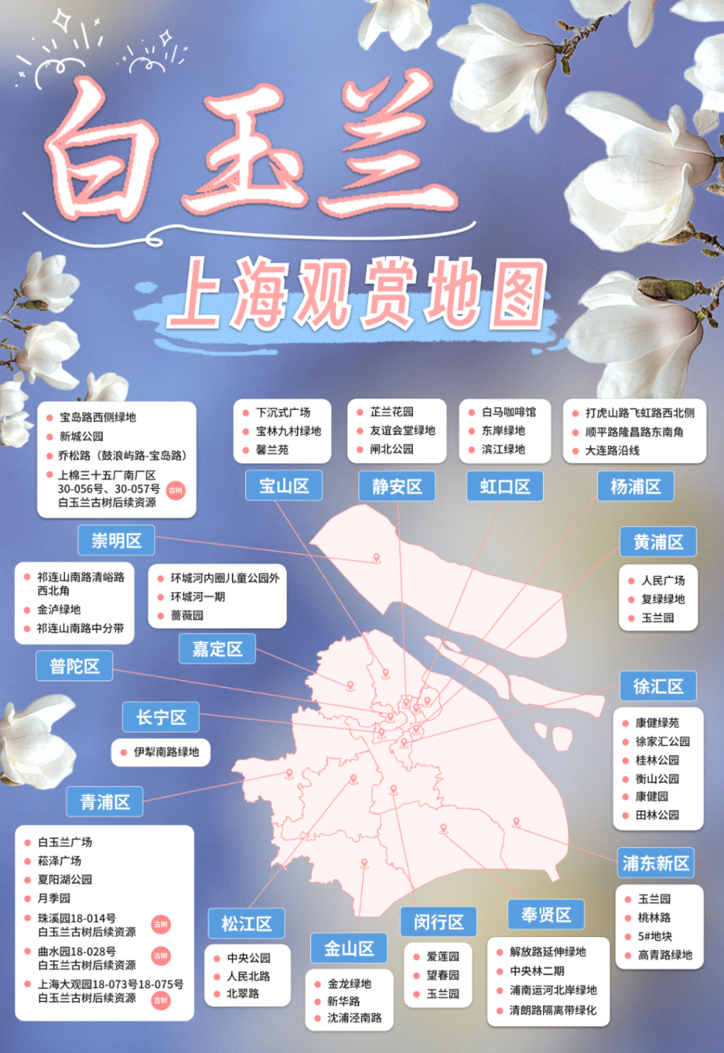 提高市花显示度，上海规模化种植白玉兰、发观赏地图,第2张