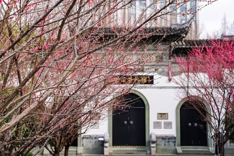 上海女艺术家特展：“都市的回声”于古建筑之中