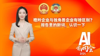 AI看兩會丨瞪羚企業與獨角獸企業有啥區別？報告里的新詞，認識一下