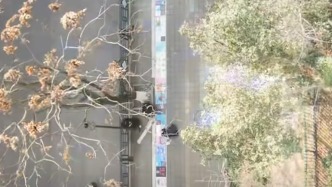 “讓盲人出行更方便”，獨臂女孩彩繪盲道鋪出“彩虹之路”