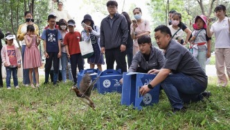 最高檢：去年檢察機(jī)關(guān)起訴破壞生態(tài)環(huán)境資源犯罪3.6萬人