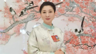 讓鄉村處處“有戲”，代表呼吁推動基層小劇場建設