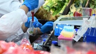 代表建议：加大农产品生产中非法添加有毒有害物质抽查力度