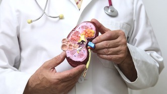 科普｜什么是慢性腎臟疾病？如何保護腎臟健康？