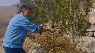 “美化了環境也鍛煉了身體”，退休老人5年義務植樹300多棵