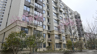 80多棵“原住民老樹(shù)”也回來(lái)了，上海一拆除重建小區(qū)將竣工