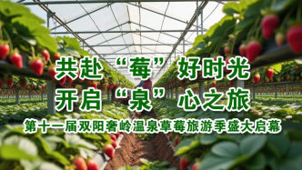 第十一届双阳奢岭温泉草莓旅游季盛大启幕