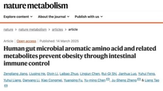 抗肥胖新思路：發現可預防肥胖的人類腸道細菌代謝物