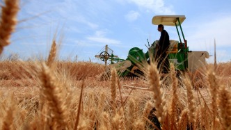 今年年底我国主要粮食作物气象灾害预警覆盖率将达95%以上