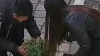 九旬老人到縣城賣草藥女生心疼塞了幾百元，之后一直獲贈“爺爺牌”蔬菜
