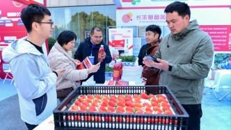 共绘“莓”好新蓝图，第10届国际草莓大会在江苏盐城举行
