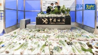 177种外来物种被一次性截获，如何破解潜藏的生态危机