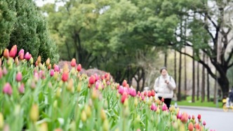 金力：守護老根、催生新枝，復旦改革不是“趕時髦”