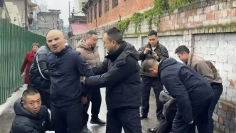 兩名男子戴仿真“人皮面具”多次入室行竊被刑拘