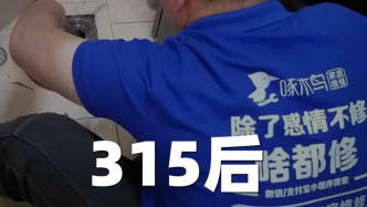 315后，啄木鳥又刺了我一刀