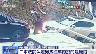9歲男孩點鞭炮燒車賠償案始末公布，法院判賠8萬余元