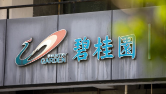 碧桂园境内债重组进展：3月分期款项拟展期至9月支付，为公开债券争取6个月的谈判期