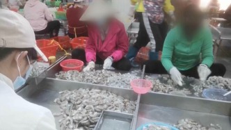 央視曝光“保水蝦仁”，湛江水產協會提出包冰量低于20%等六大整改措施