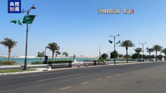 俄乌将在沙特分别与美会谈，除了停火还谈什么？