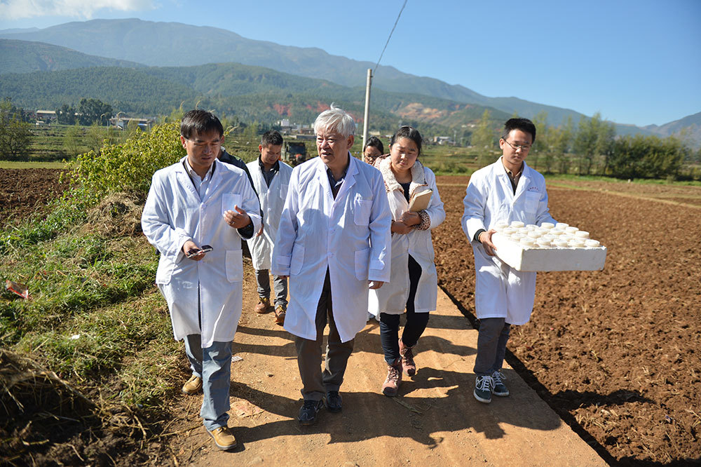 在“有风的地方”，洱海水清背后还有段“老人与海”的故事,第2张