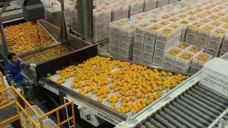 我國縣域消費市場活力涌動