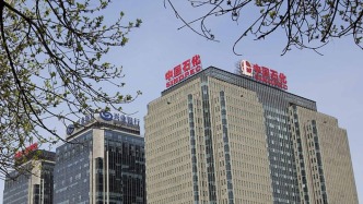中国石化发布2024年经营业绩：每股盈利0.404元，利润分派率达75%