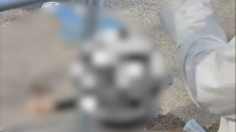 山东菏泽市一公园内惊马撞人，街道：正处理，附近有跑马场