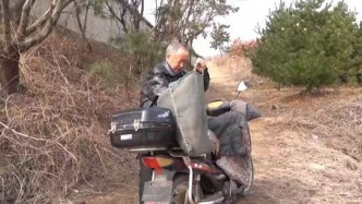 81歲“樹癡”二十年植樹，無償捐贈價(jià)值近百萬元紅松