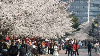 上海多个气象站打破3月最高气温纪录，宝山达33.1 ℃