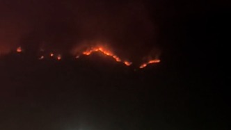 湖北黃岡市發(fā)生山火，應(yīng)急局：火已滅無傷亡