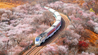 趣看｜開(kāi)往春天的列車