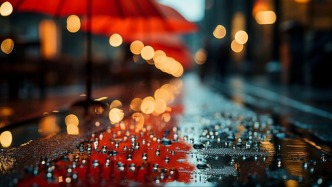 夜读丨一把有故事的伞