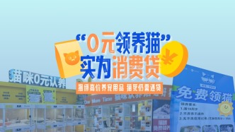 “貓貸”調查：“0元領養”實為消費貸，捆綁高價養寵用品