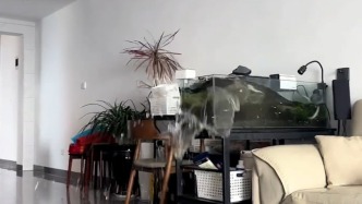 緬甸地震瞬間，中國瑞麗市民家中魚缸的水翻騰外溢