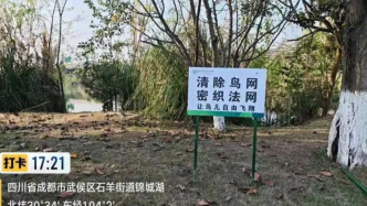 成都弹弓打鸟事件追踪：“非法狩猎罪”认定尚存争议