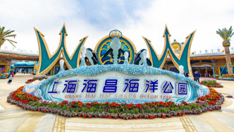 海昌海洋公園：2024年收入約18.18億元，上海公園二期預(yù)計2026年開業(yè)