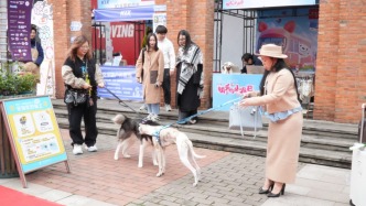 上海市政協農業農村委調研“寵物經濟”：關注寵物殯葬、異寵飼養等