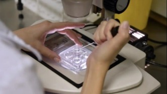 美千余名科学家签署公开信，控诉特朗普政府削减科研经费