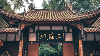 一滴水見太陽，一部戲品“三蘇”