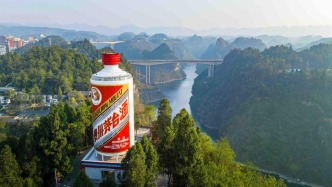 日賺2.35億元！貴州茅臺去年凈利增長15%，今年營收增速目標降至9%左右
