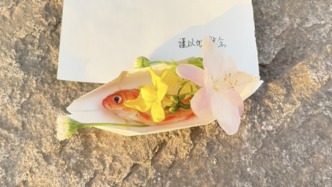杭州父女為小魚辦“葬禮”：這堂生命教育課教會孩子溫柔說再見