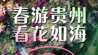 倒计时3天：春游贵州，看花如海