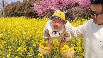 爸爸“花式遛娃”，萌寶變身小蜜蜂在花叢中“翩翩起舞”