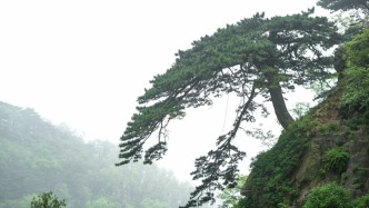 西南交大焊接學科奠基人王元良逝世，93歲還曾出版專著