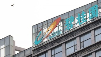 碧桂园旗下8只境内债券兑付调整方案获通过，涉本金124.17亿元