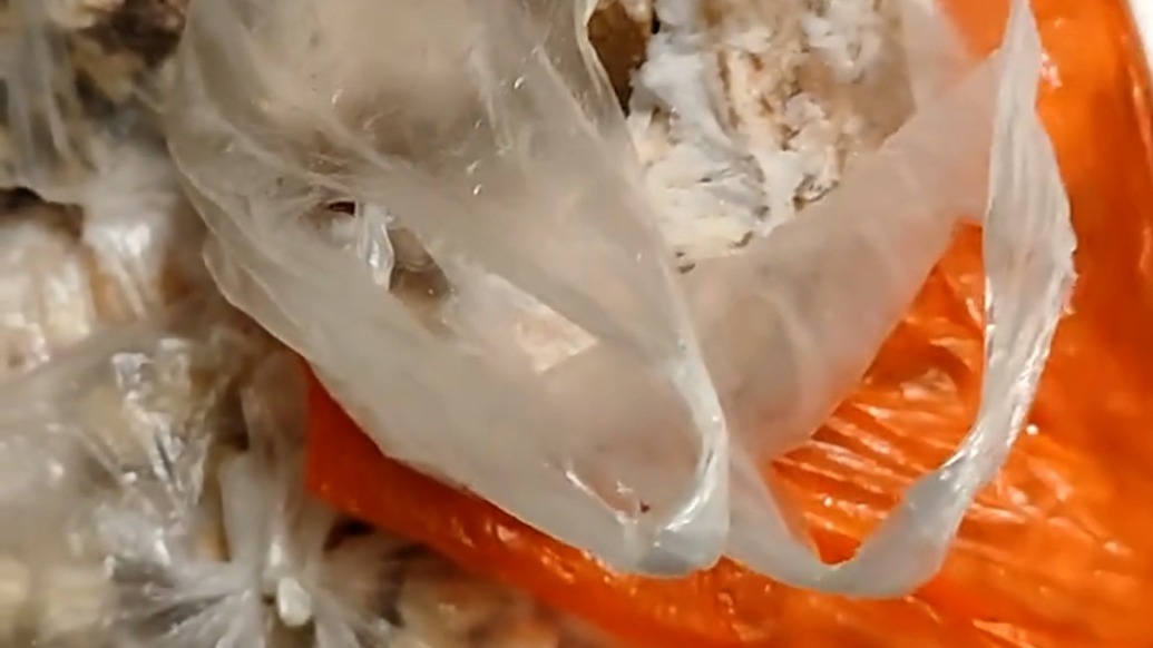婆婆在兒媳的后備箱裝滿土特產，兒媳：夠吃半年，滿滿的一車愛