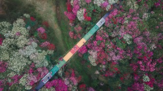 理解贵州｜去贵州，打开春天