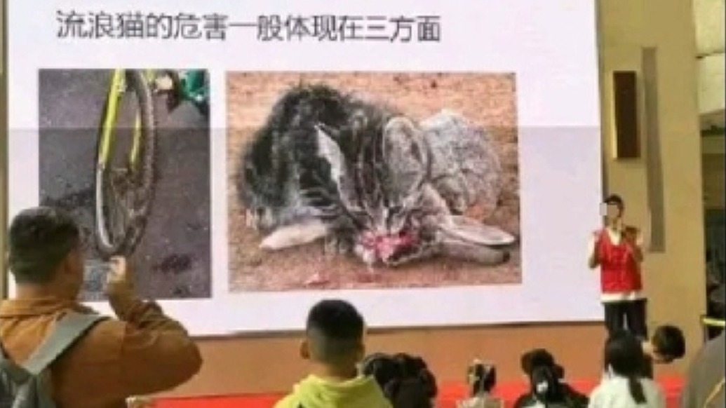 浙江自然博物院回應(yīng)小志愿者講解流浪貓危害被投訴:表述不嚴(yán)謹(jǐn)